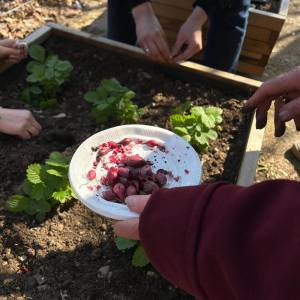 Uczestnicy spotkania ogrodniczego stoją przy stole z doniczkami, ziemią i narzędziami do sadzenia.