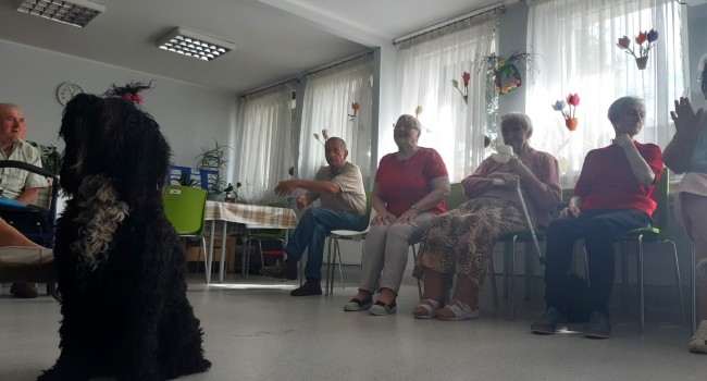 pies podchodzący do uczestników