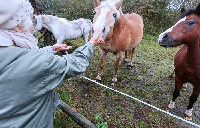 Uśmiechnięci uczestnicy ze swarzędzkich placówek: Centrum Aktywności Seniora, Dziennego Domu Pomocy, Dziennego Domu „Senior-WIGOR”, Środowiskowego Domu Samopomocy na zajęciach w ramach projektu Stowarzyszenia na Rzecz Aktywizacji Społeczności Lokalnej „Zwierzaki na receptę” dla osób z niepełnosprawnościami